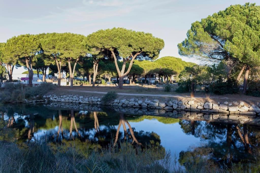 Chez Sebastien - Paisible Studio Au Bord D'Un Lac Avec Parking ラ・グランド・モット エクステリア 写真